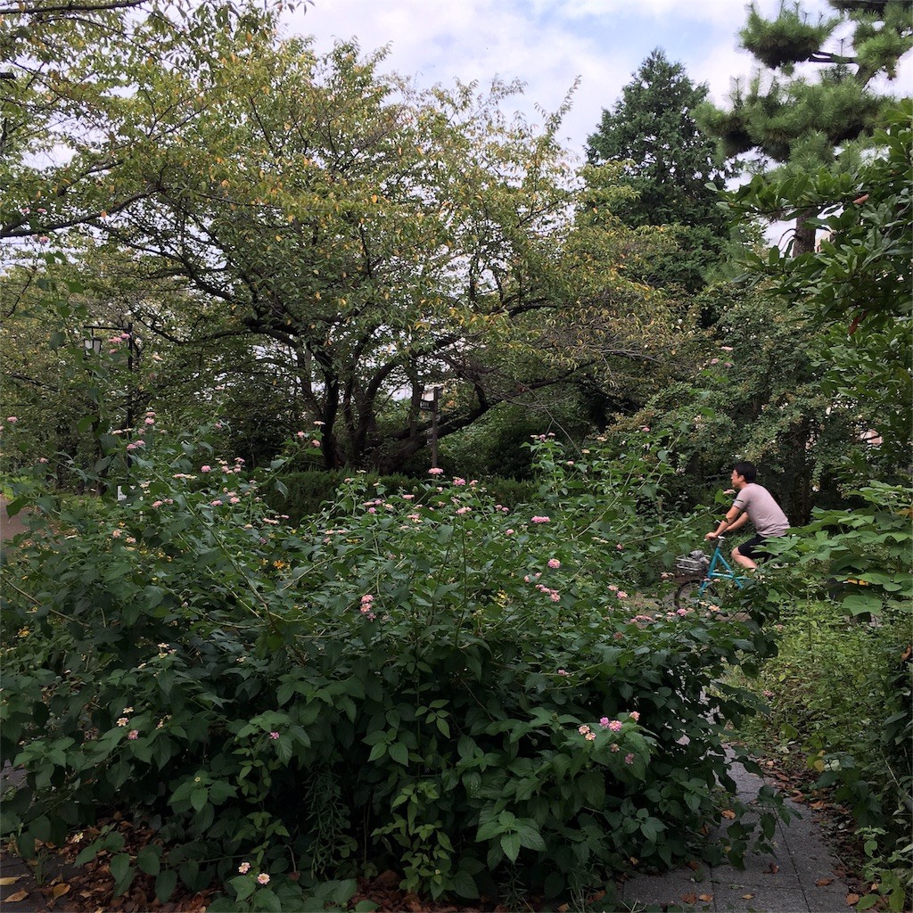 f:id:senri4000:20160912221702j:image