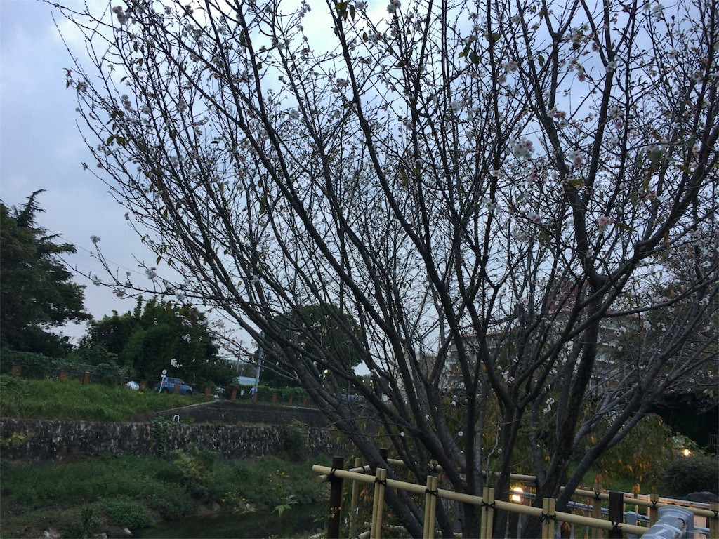 f:id:senri4000:20161024125732j:image