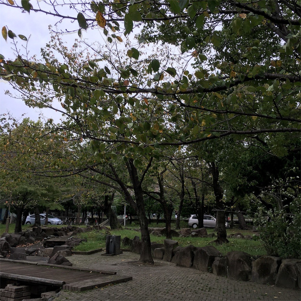 f:id:senri4000:20161101083126j:image