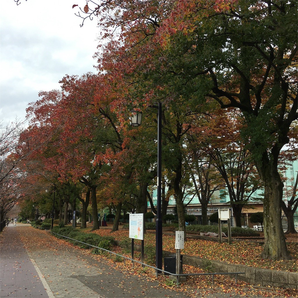 f:id:senri4000:20161122084443j:image