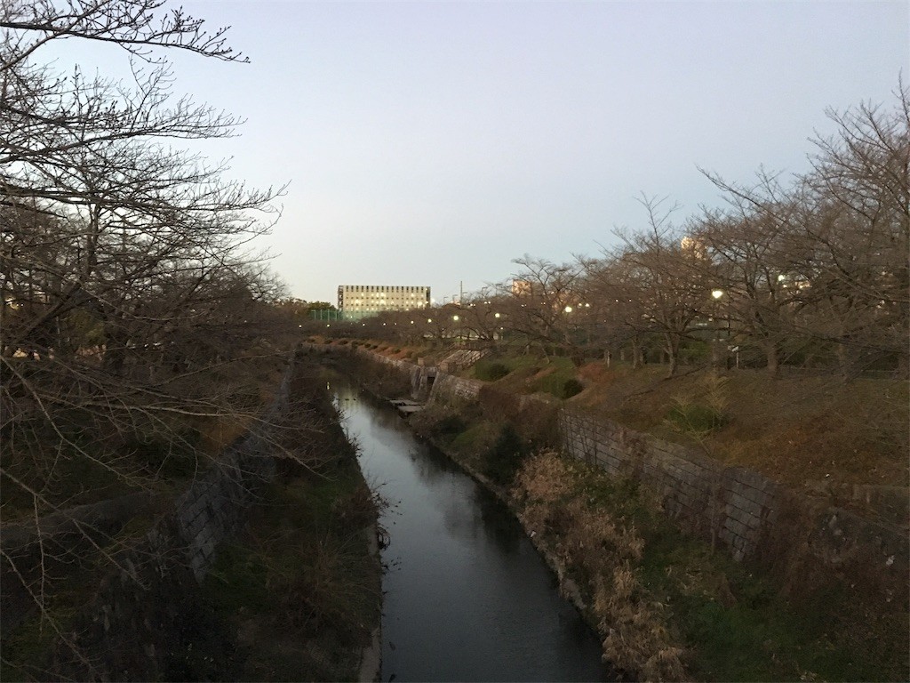 f:id:senri4000:20170101115113j:image