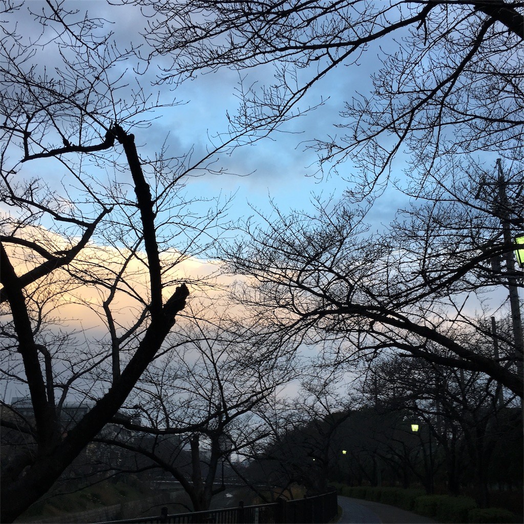 f:id:senri4000:20170108233252j:image