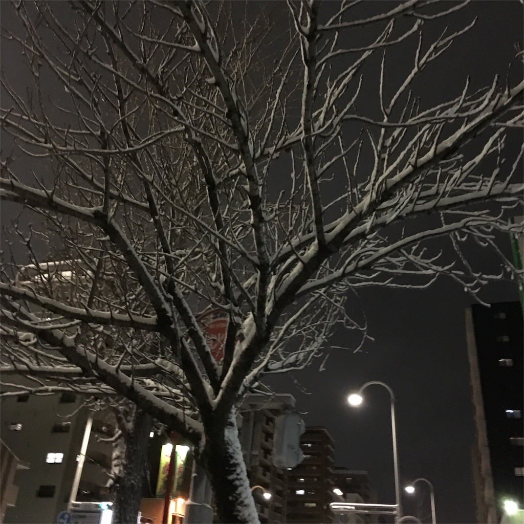 f:id:senri4000:20170115092508j:image