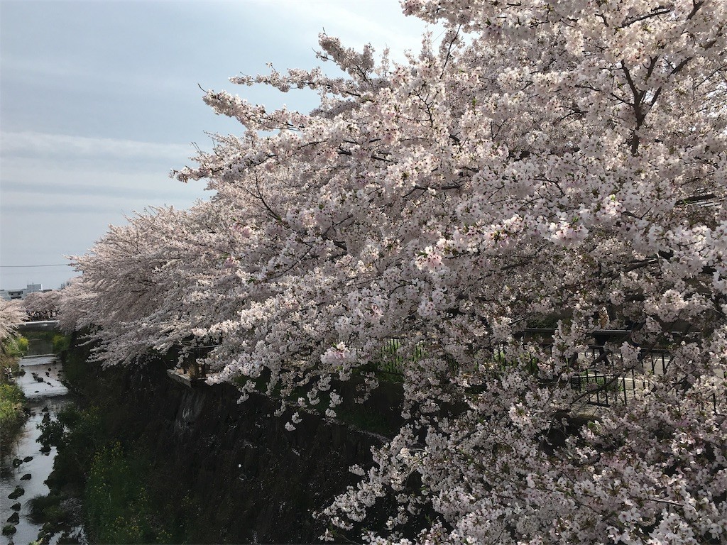 f:id:senri4000:20170409164422j:image