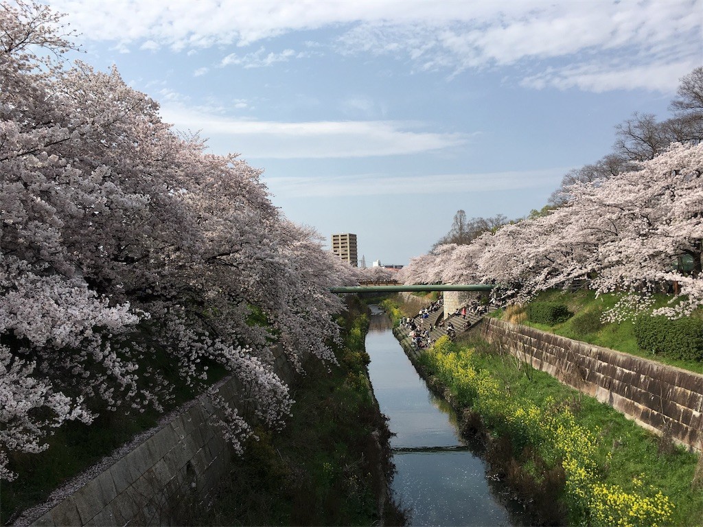 f:id:senri4000:20170409164516j:image
