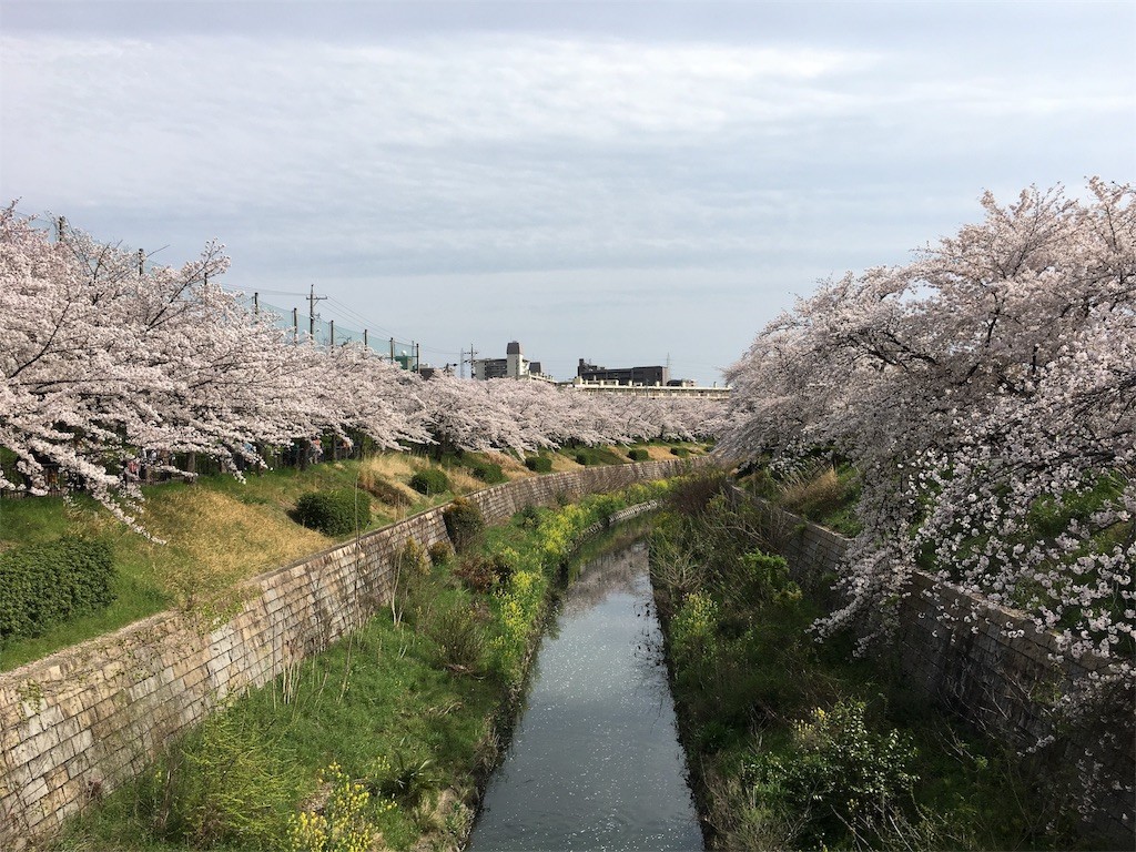 f:id:senri4000:20170409164523j:image