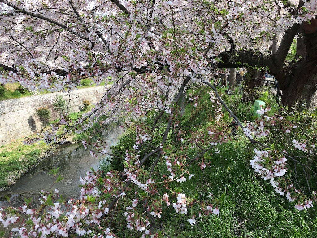 f:id:senri4000:20170409164629j:image