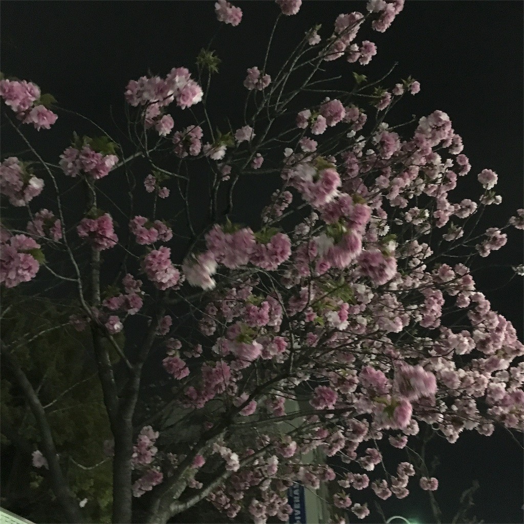 f:id:senri4000:20170416151413j:image