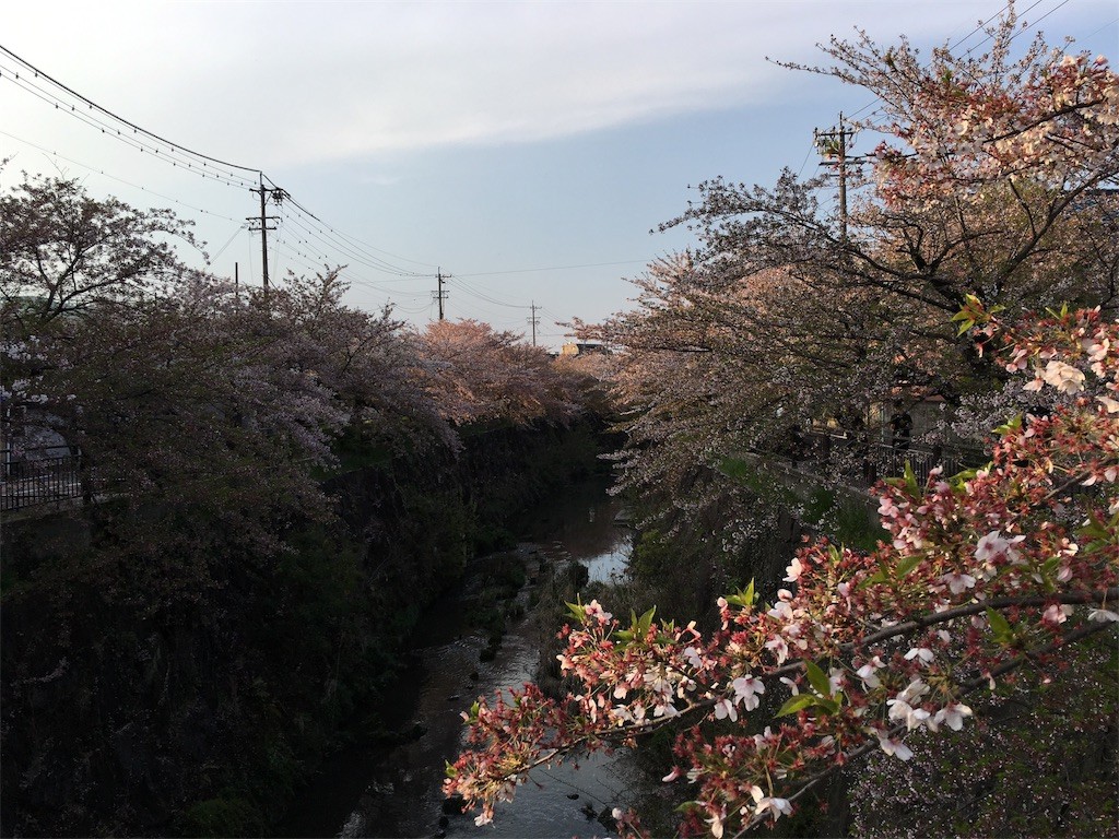 f:id:senri4000:20170416171126j:image