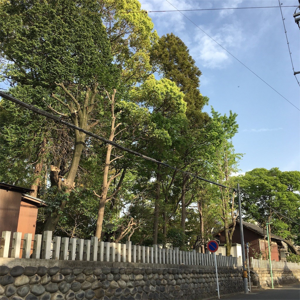 f:id:senri4000:20170509125145j:image
