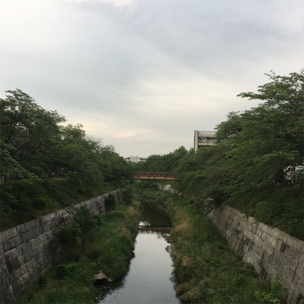 f:id:senri4000:20170601074829j:image