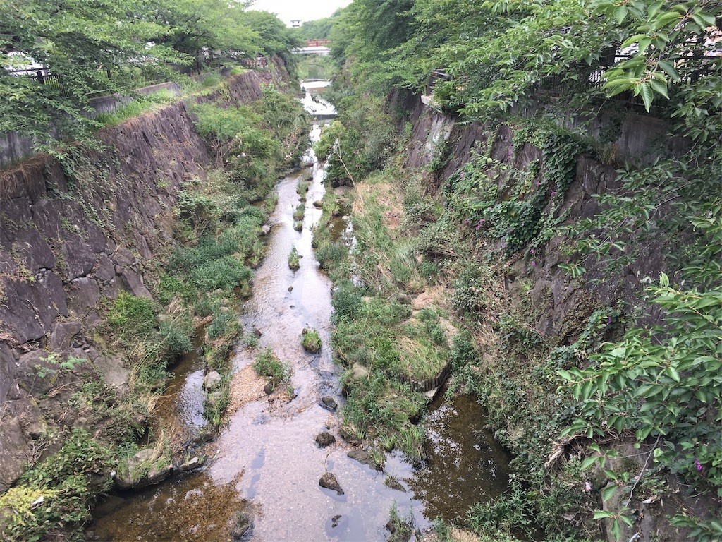 f:id:senri4000:20170709222308j:image