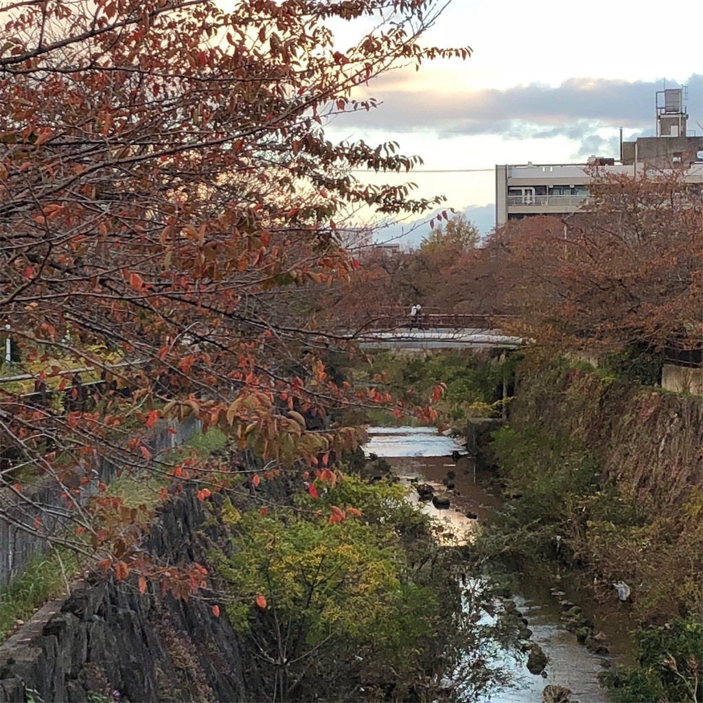 f:id:senri4000:20171119171354j:image