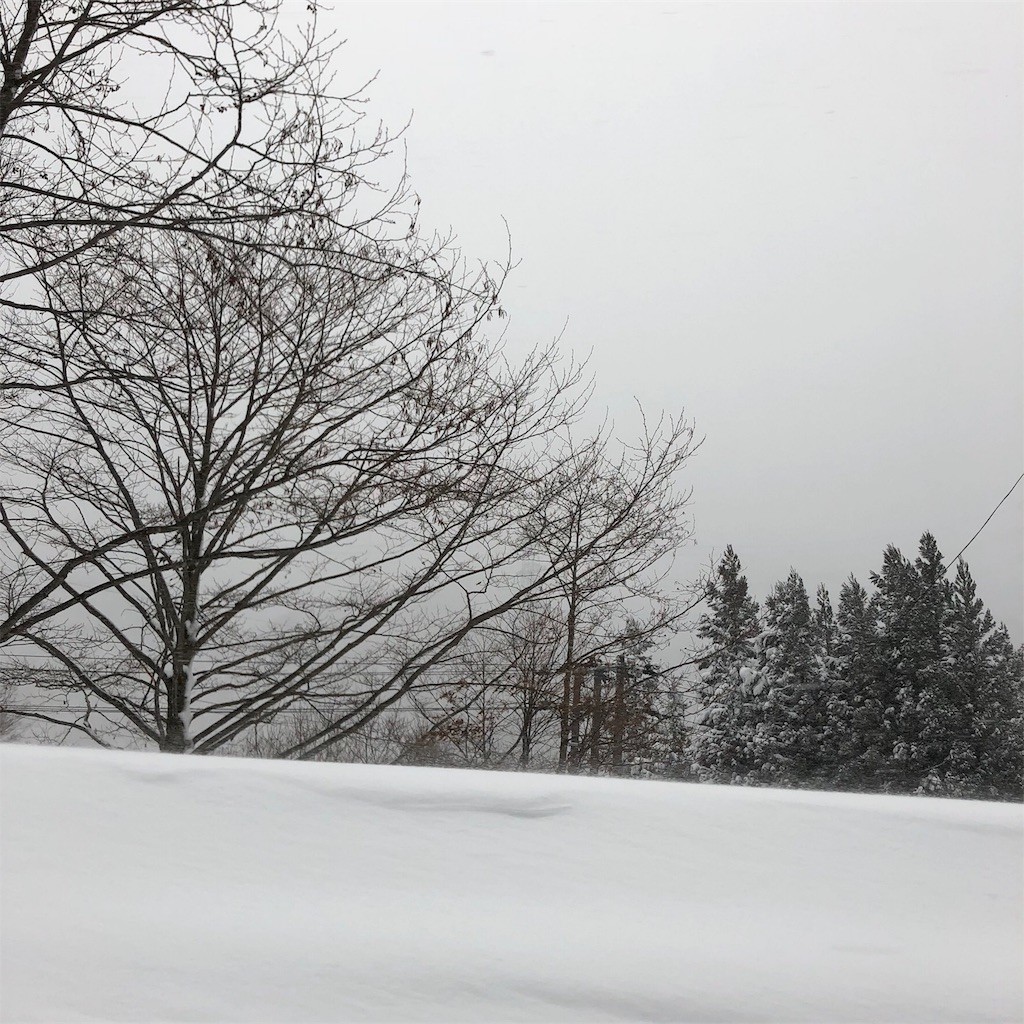f:id:senri4000:20180107210004j:image