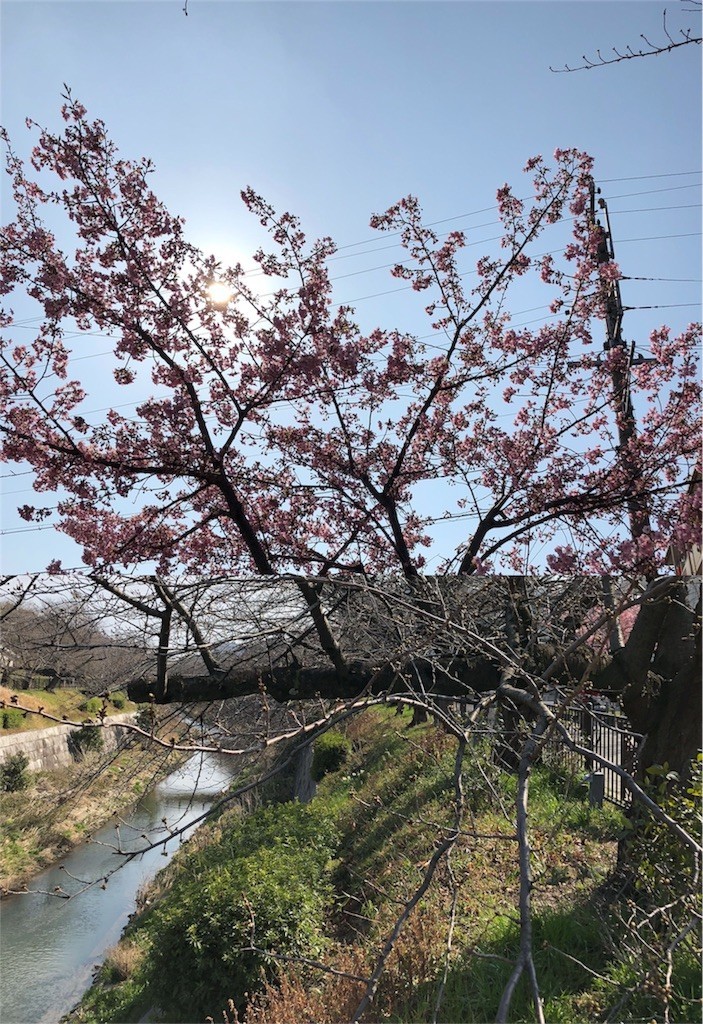 f:id:senri4000:20180311202059j:image