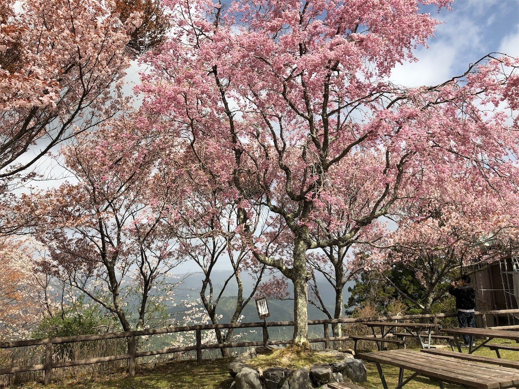 f:id:senri4000:20180502080105j:image