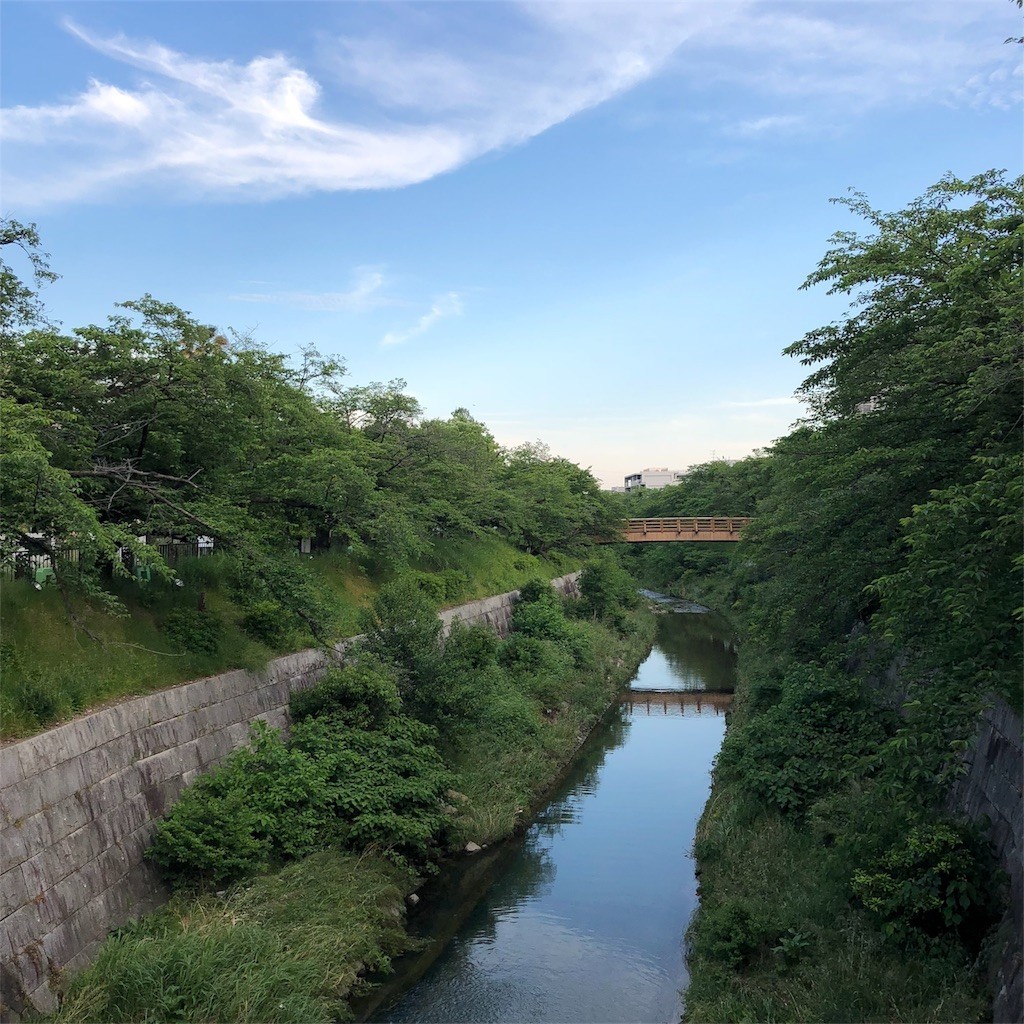 f:id:senri4000:20180514125943j:image