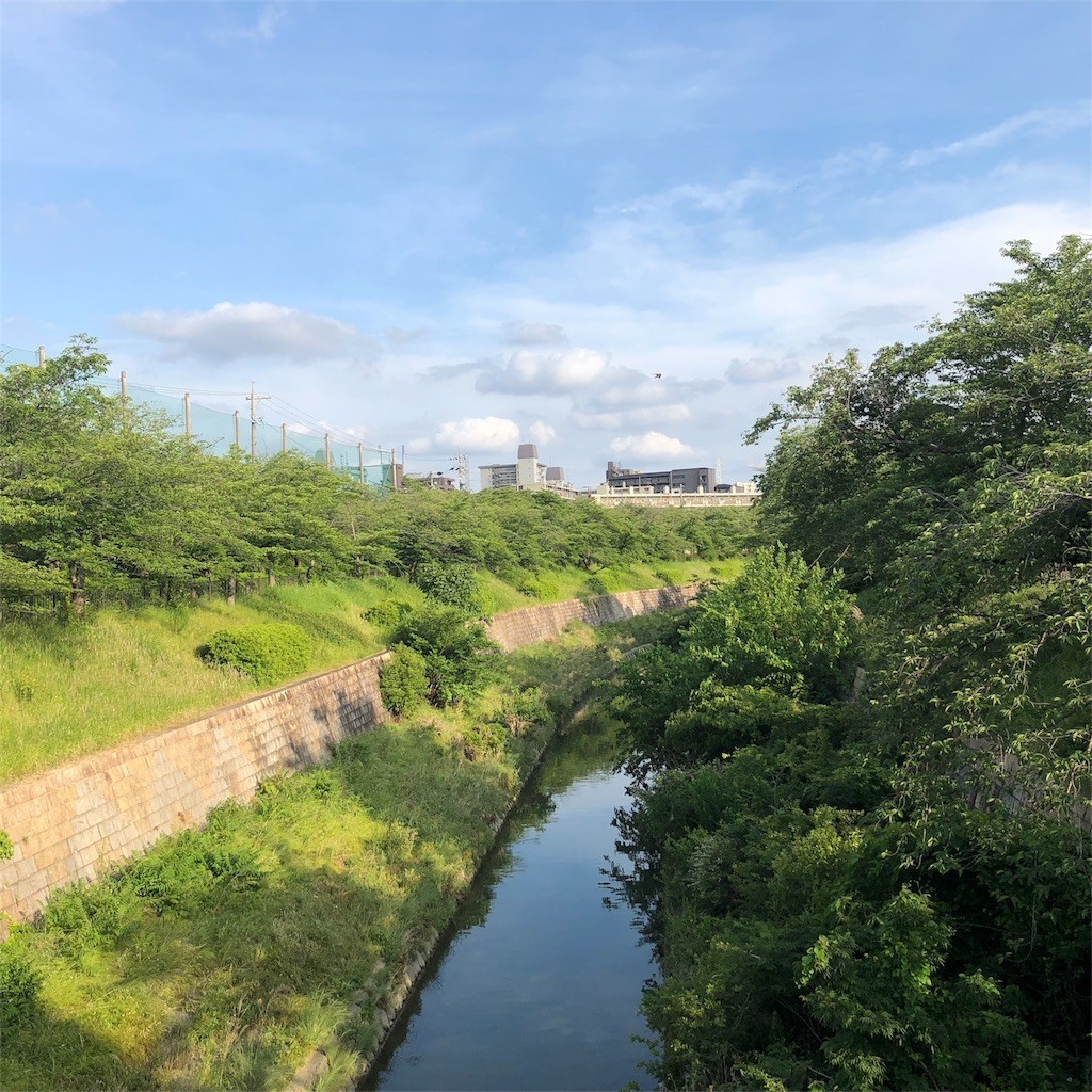 f:id:senri4000:20180521133300j:image