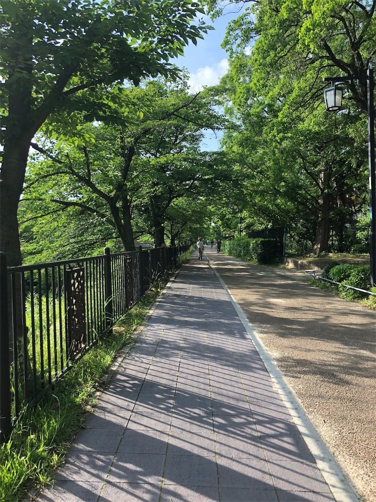 f:id:senri4000:20180531082721j:image f:id:senri4000:20180531082721j:image