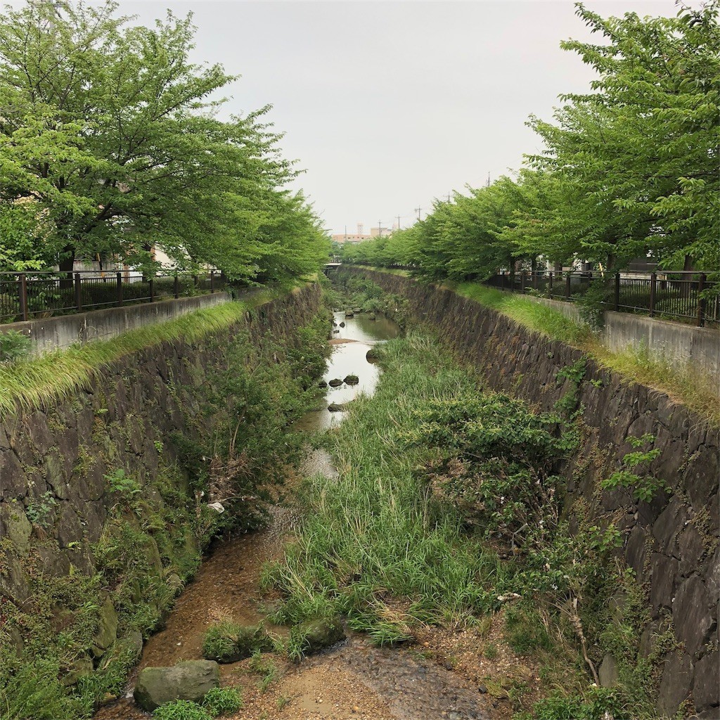f:id:senri4000:20180610200104j:image