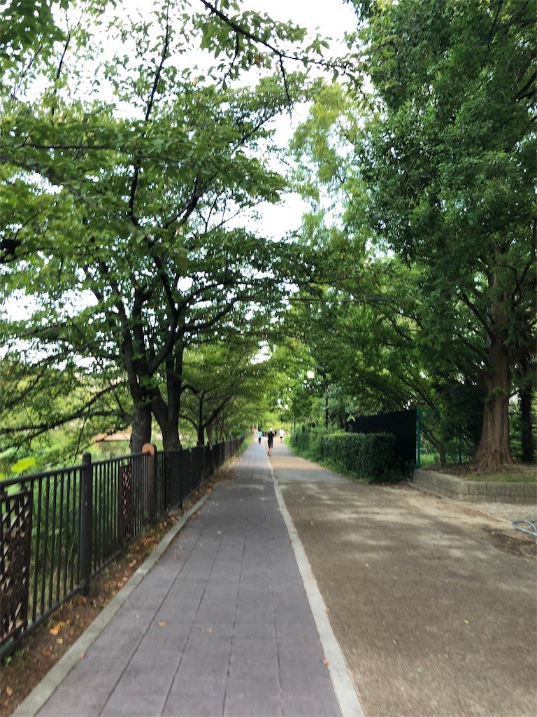 f:id:senri4000:20180902122255j:image