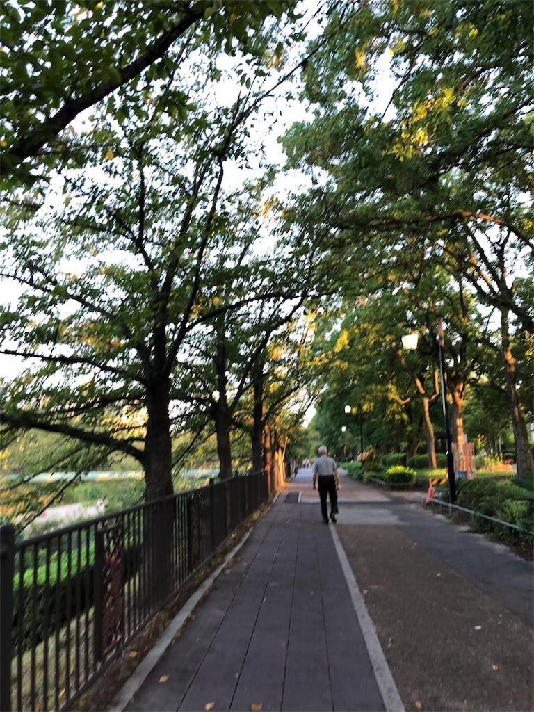 f:id:senri4000:20180924155755j:image