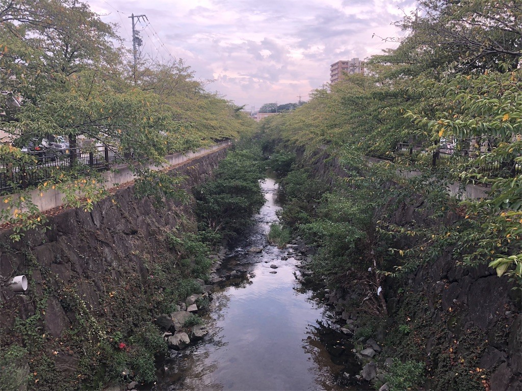 f:id:senri4000:20180930090853j:image