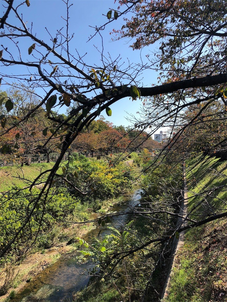 f:id:senri4000:20181111110235j:image