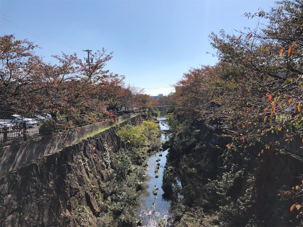 f:id:senri4000:20181112204956j:image