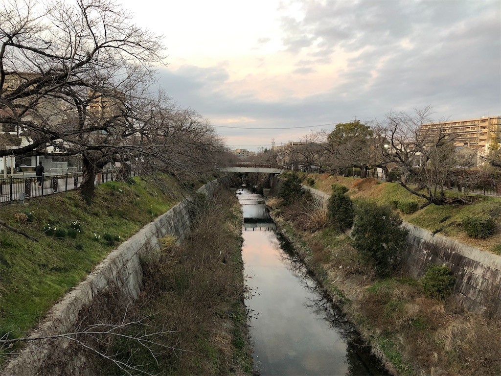 f:id:senri4000:20190121154342j:image