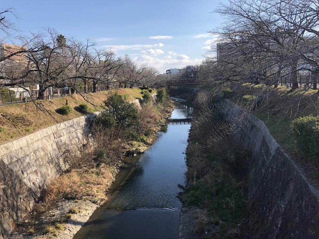 f:id:senri4000:20190202145603j:plain
