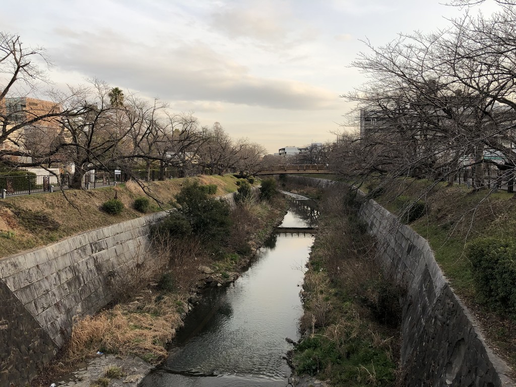f:id:senri4000:20190209164300j:plain
