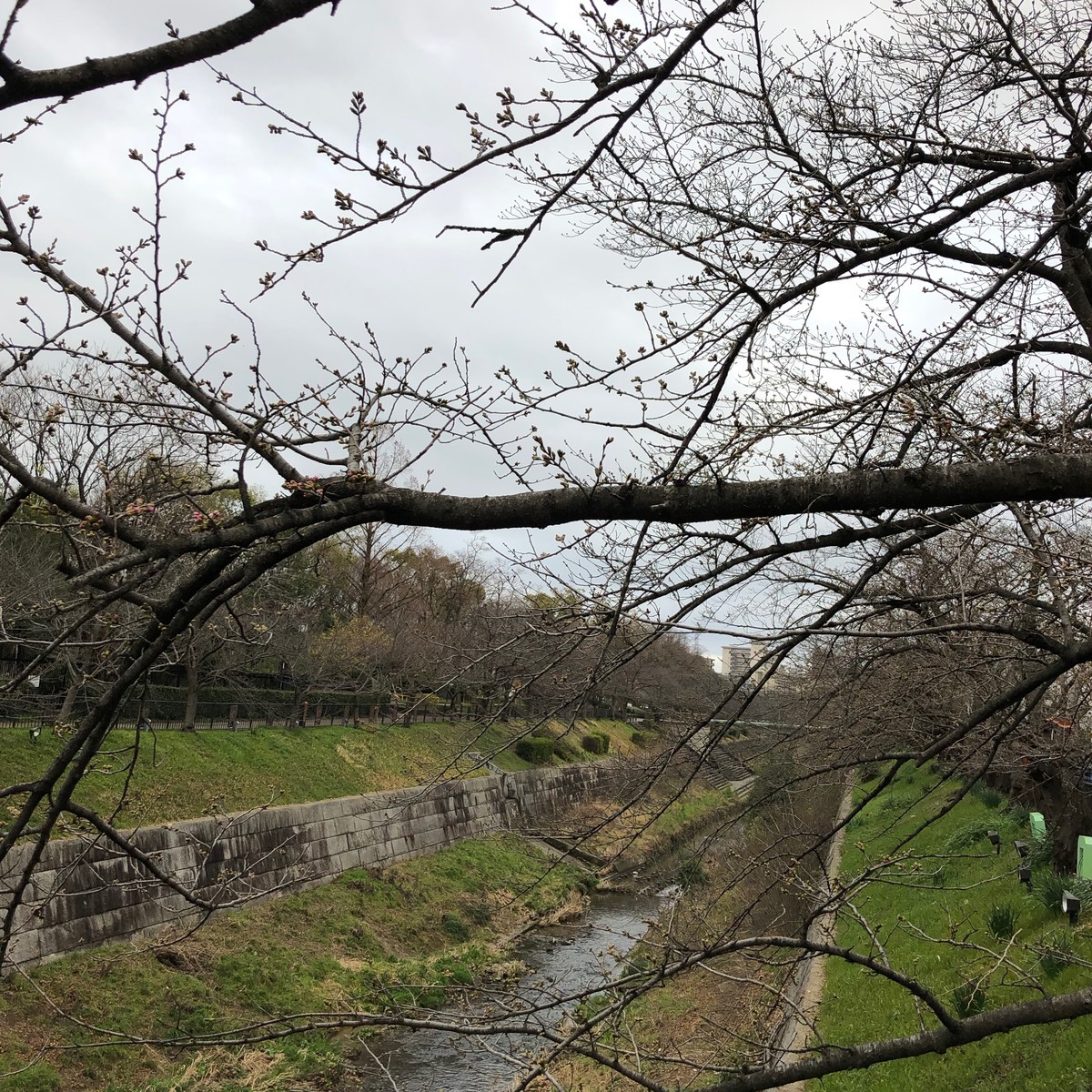 f:id:senri4000:20190321164502j:plain