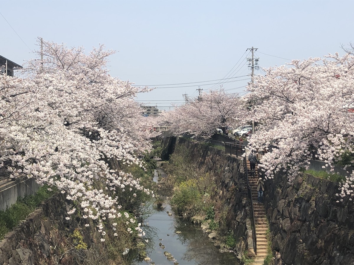 f:id:senri4000:20190407111527j:plain