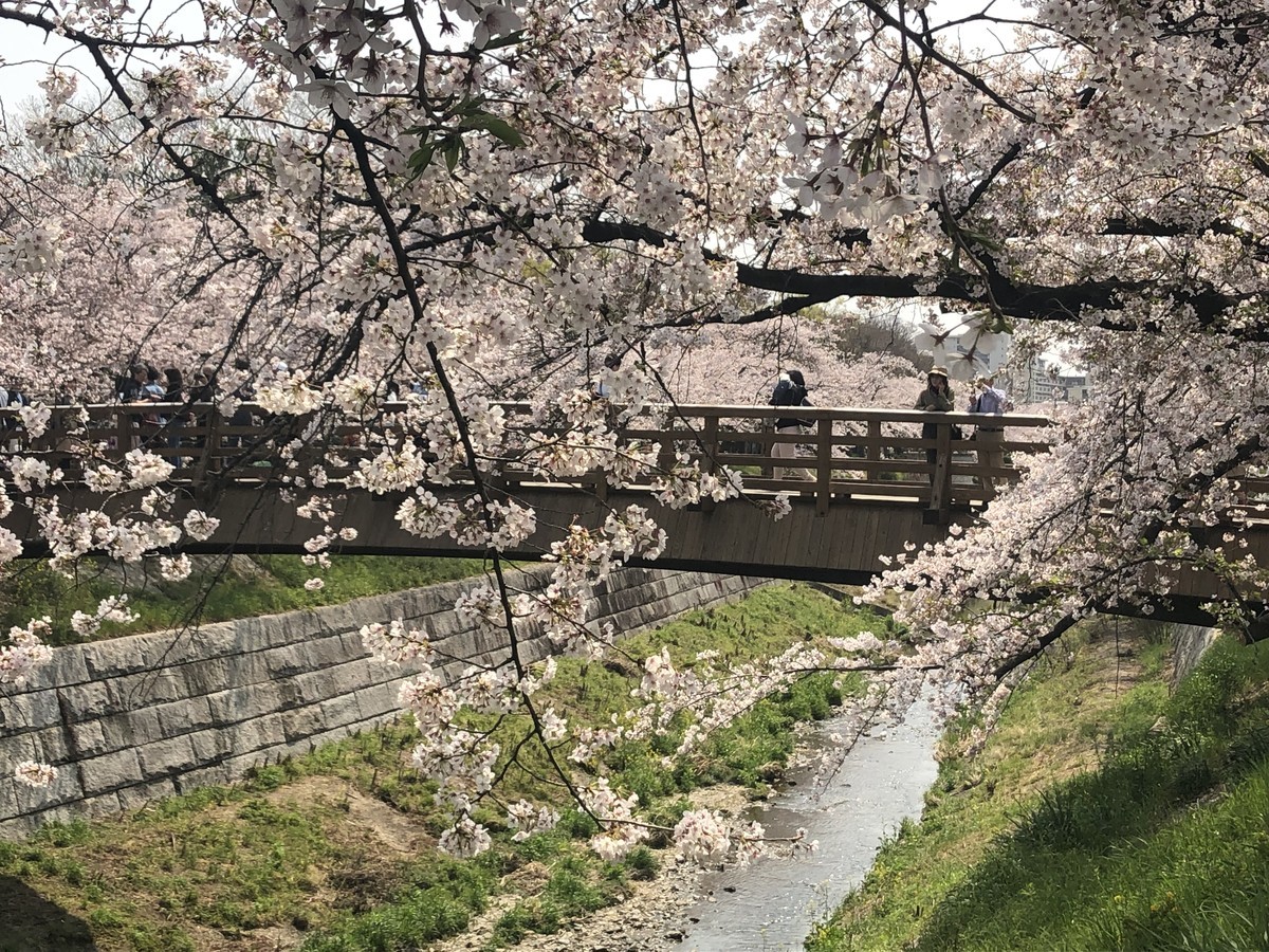 f:id:senri4000:20190407111752j:plain