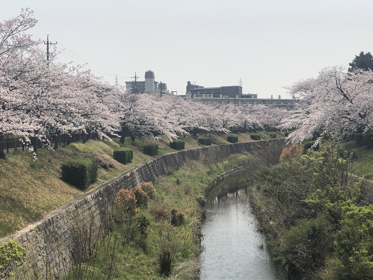 f:id:senri4000:20190407112305j:plain