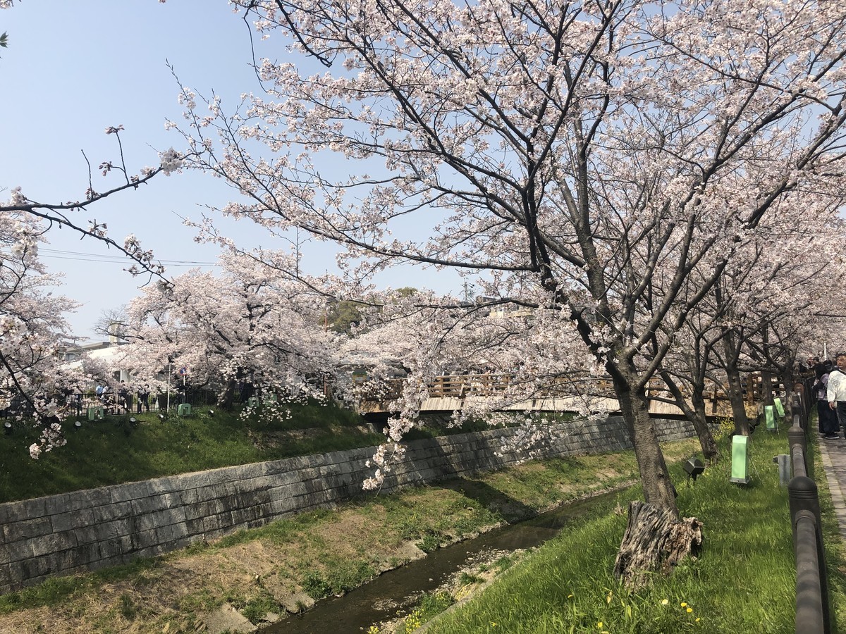 f:id:senri4000:20190407112730j:plain