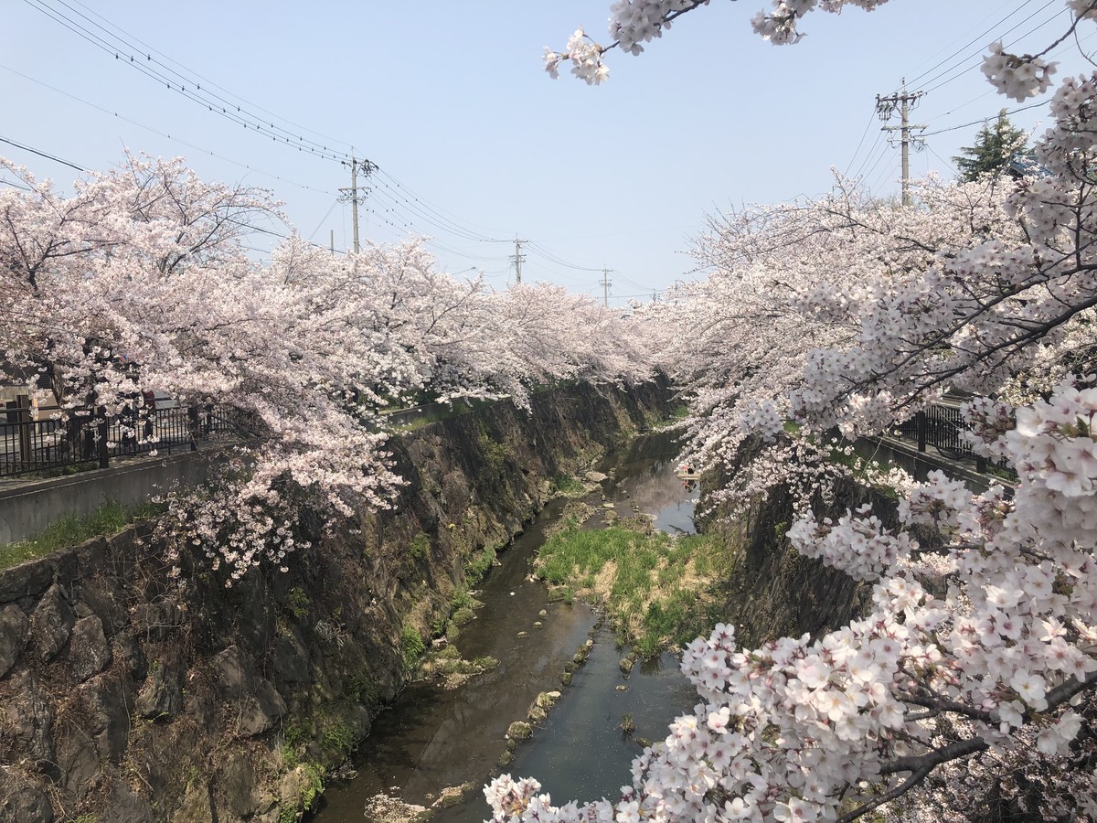 f:id:senri4000:20190407113153j:plain
