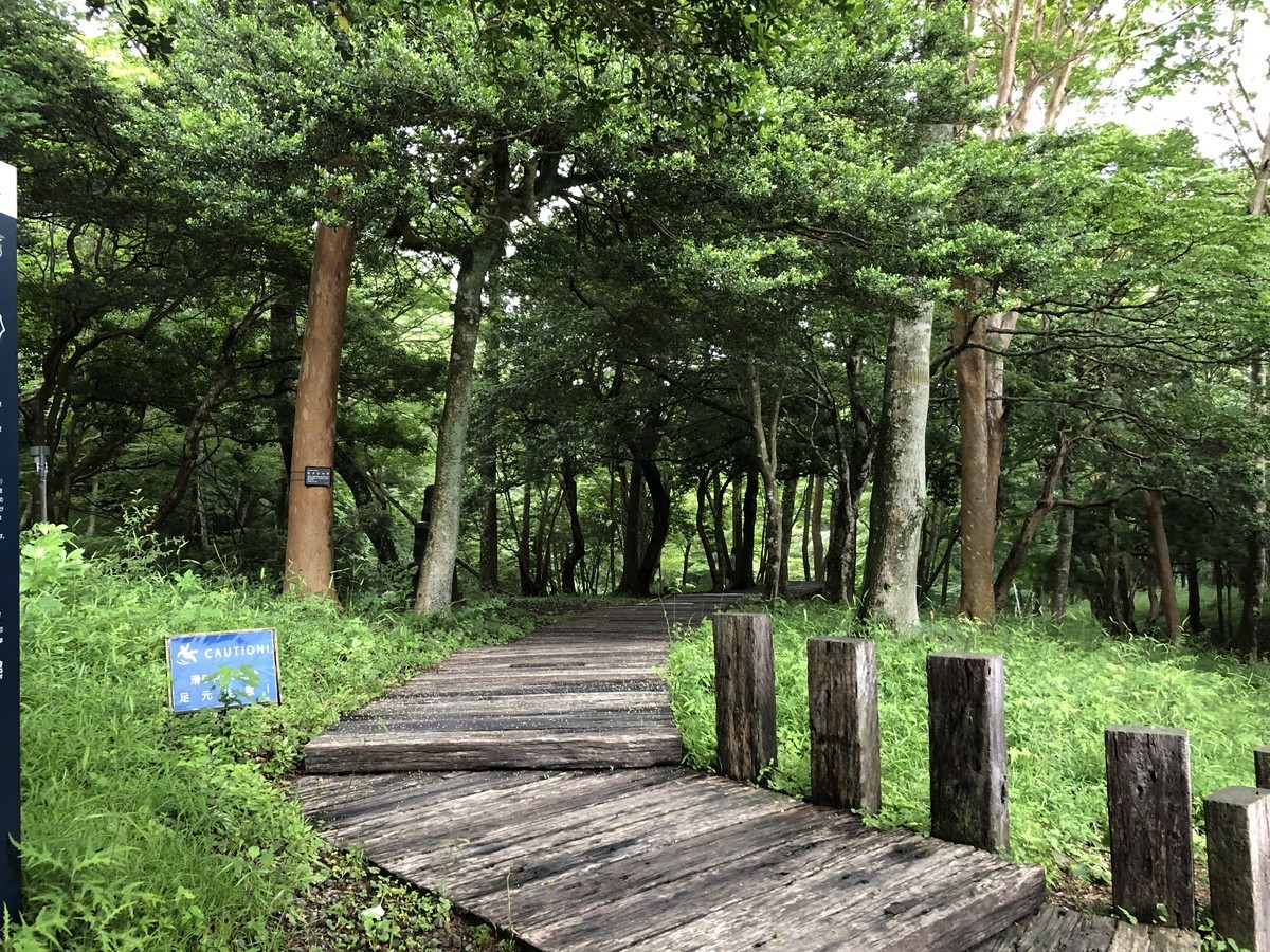 f:id:senri4000:20190705151929j:plain
