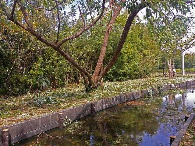 f:id:senri4000:20191014113233j:plain