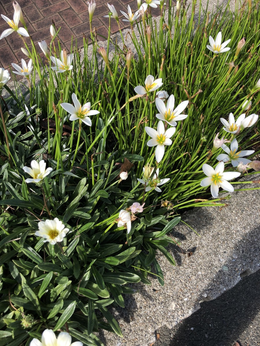 f:id:senri4000:20191022115530j:plain f:id:senri4000:20191022115530j:plain