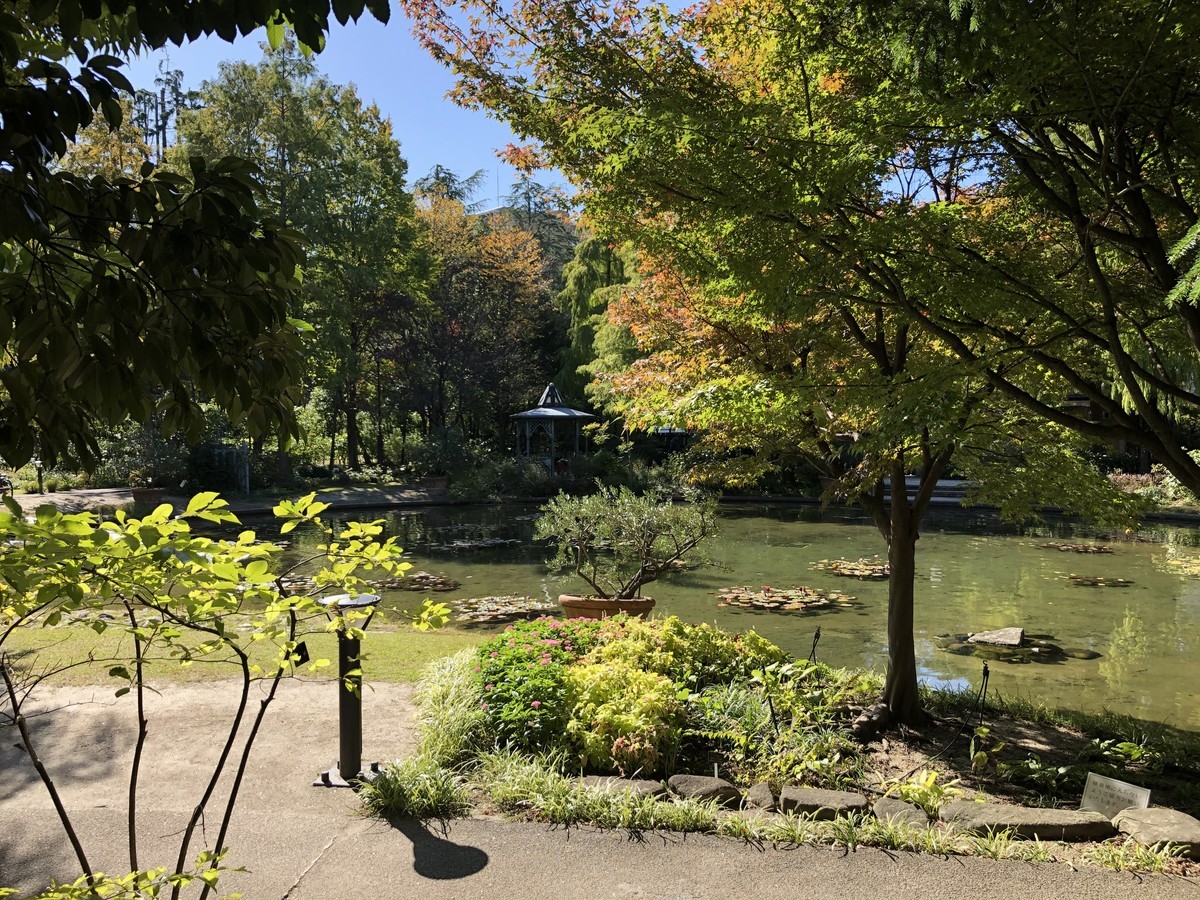 f:id:senri4000:20191105123913j:plain
