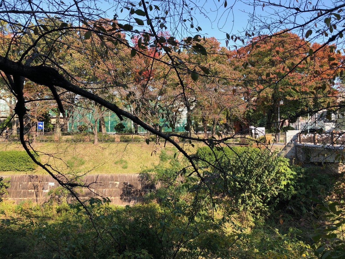 f:id:senri4000:20191116132945j:plain
