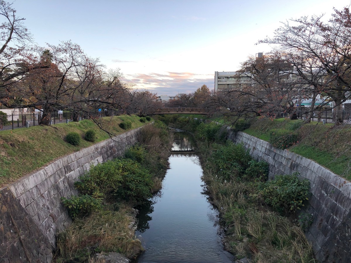 f:id:senri4000:20191123162441j:plain