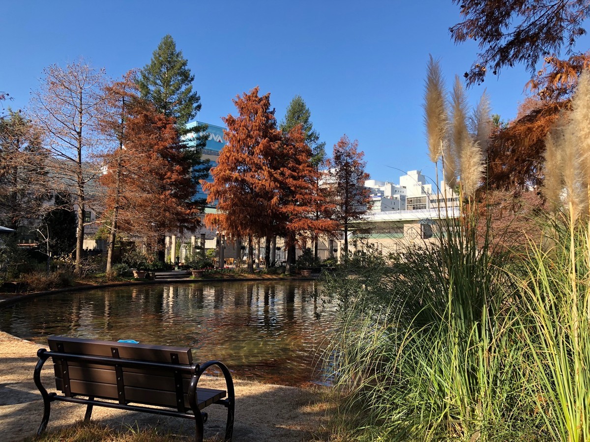f:id:senri4000:20191225123356j:plain