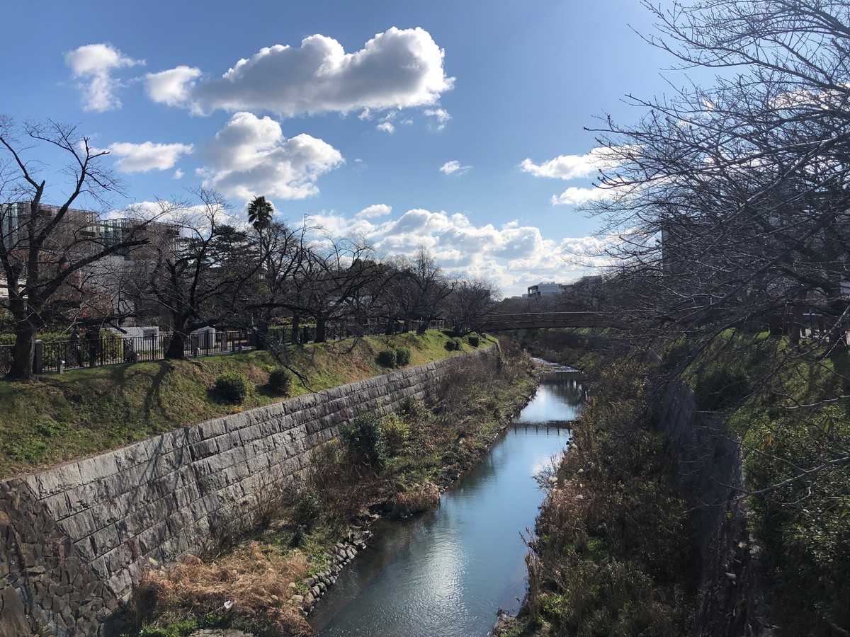 f:id:senri4000:20200105120128j:plain