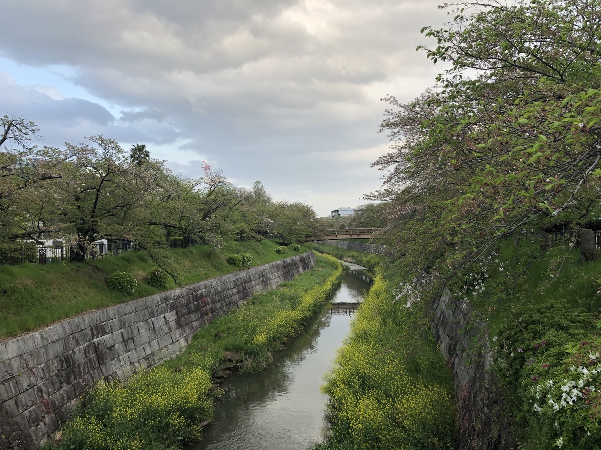 f:id:senri4000:20200418172759j:plain