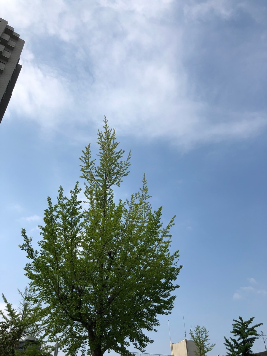 f:id:senri4000:20200501081720j:plain f:id:senri4000:20200501081720j:plain