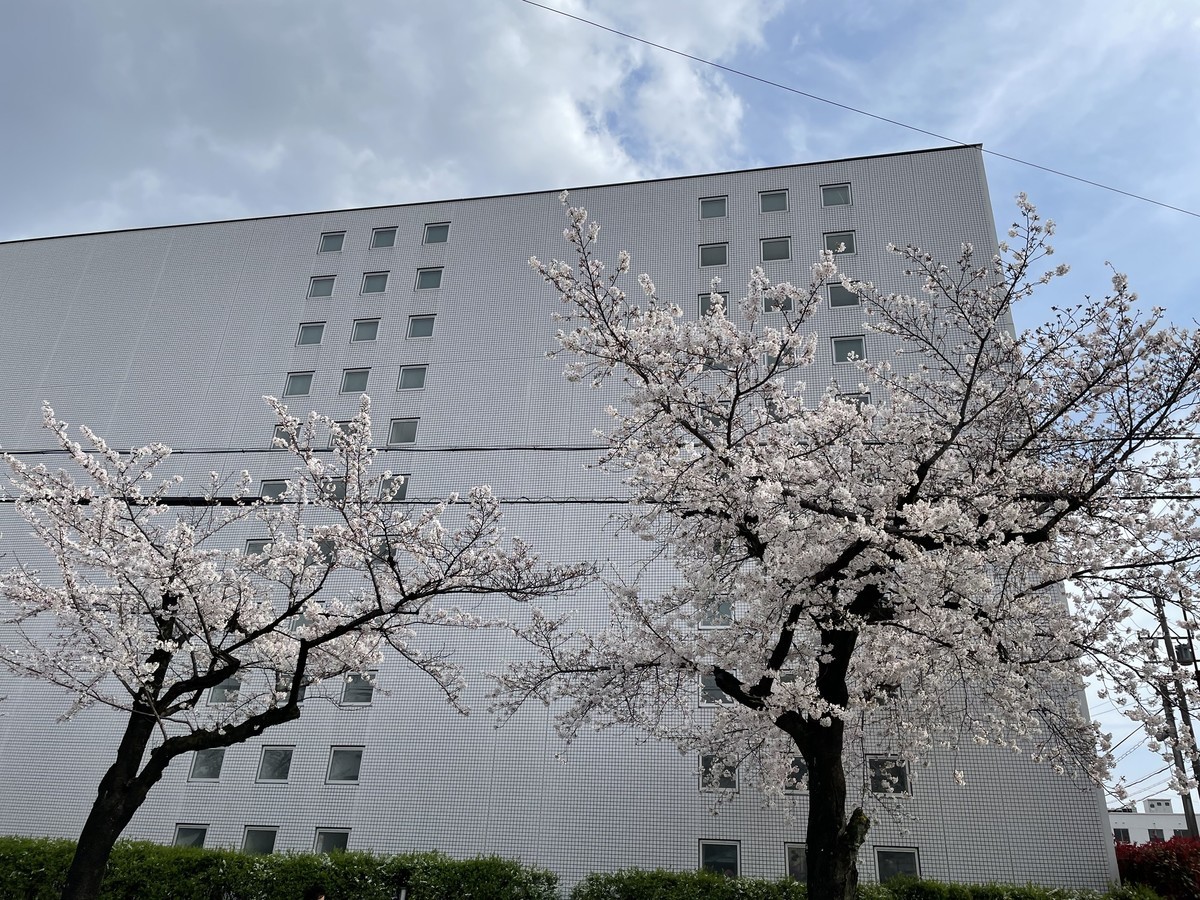 f:id:senri4000:20210327152920j:plain