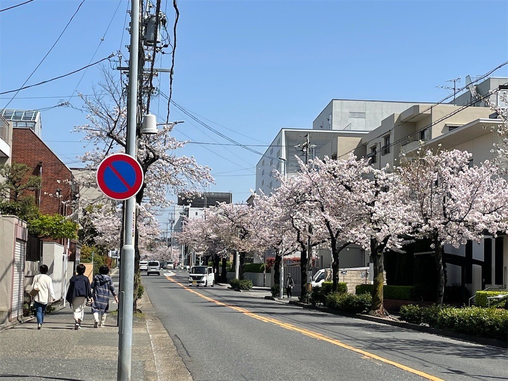 f:id:senri4000:20210404151343j:plain